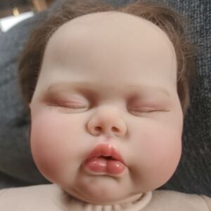 Nikki Johnston 2023 Reborn Baby Pickles